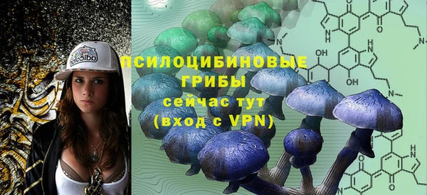стаф Алексин