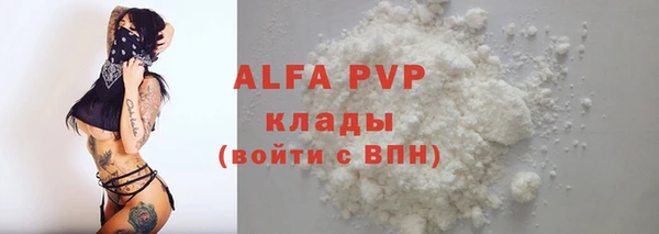 стаф Алексин