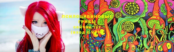 стаф Алексин