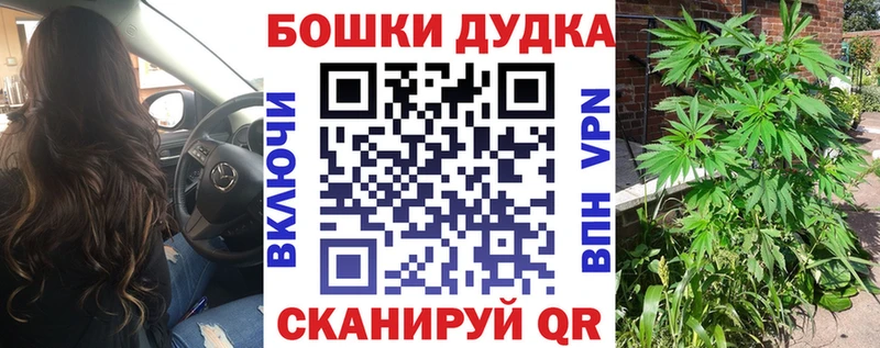 где можно купить наркотик  Новокубанск  Канабис марихуана 